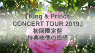 わちゃわちゃキンプリがたくさん！2019年のライブDVD初回限定盤の収録