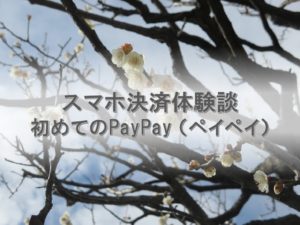 スマホ決済体験談PayPay(ペイペイ)