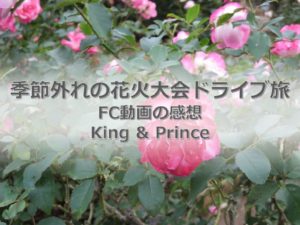 神企画。車を運転するKing ＆ Prince。キンプリのFC動画「ドライブ旅」の感想