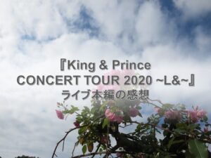 キンプリランド『King ＆ Prince CONCERT TOUR 2020 ～L＆～』DVDライブ本編の感想