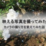 映える写真を撮ってみた！カメラの撮り方を変えてみた話